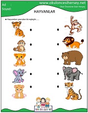 Hayvanlar İle Yavrularını Eşleştir